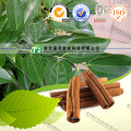 100% Pure Natural Herb Medicine Cortex Cinnamomi